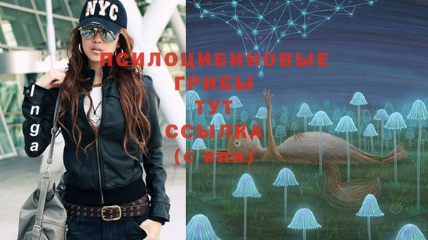 метадон Алзамай