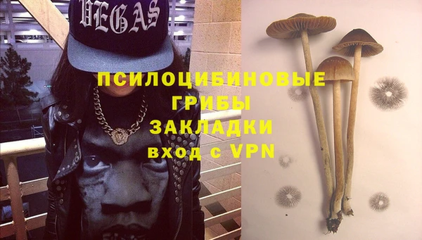 spice Алексин