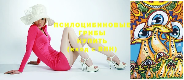 гидра Алексеевка